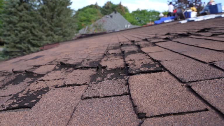 Best Slate Roofing  in Hawaiian Paradise Park, HI